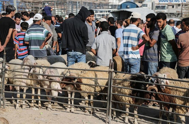  Lễ hội Eid al-Adha kéo dài trong suốt 3 ngày và diễn ra sau tháng lễ ăn chay của người Hồi giáo trên khắp thế giới. Đây là dịp để tôn vinh một người tên Abraham đã vâng lời Thượng đế hiến tế người con trai yêu quý. Tuy nhiên, sau đó Người lấy một con cừu làm vật hiến tế thay thế cho con trai của Abraham.